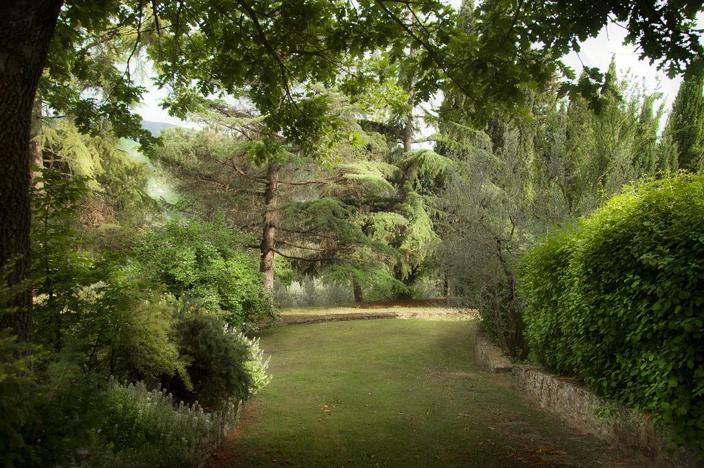 Podere Poggio Mendico Villa Arezzo Exterior foto